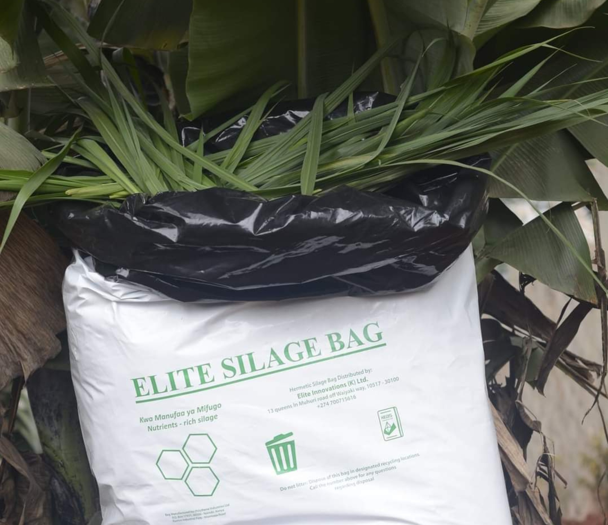 Silage Preparation